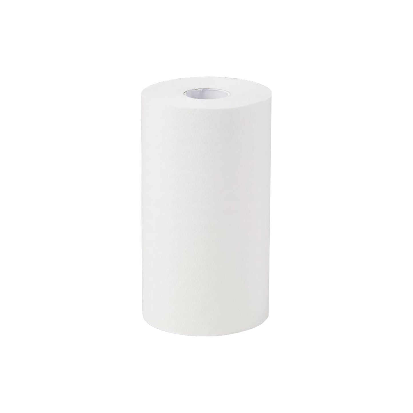 Paper Towel Roll 2Ply