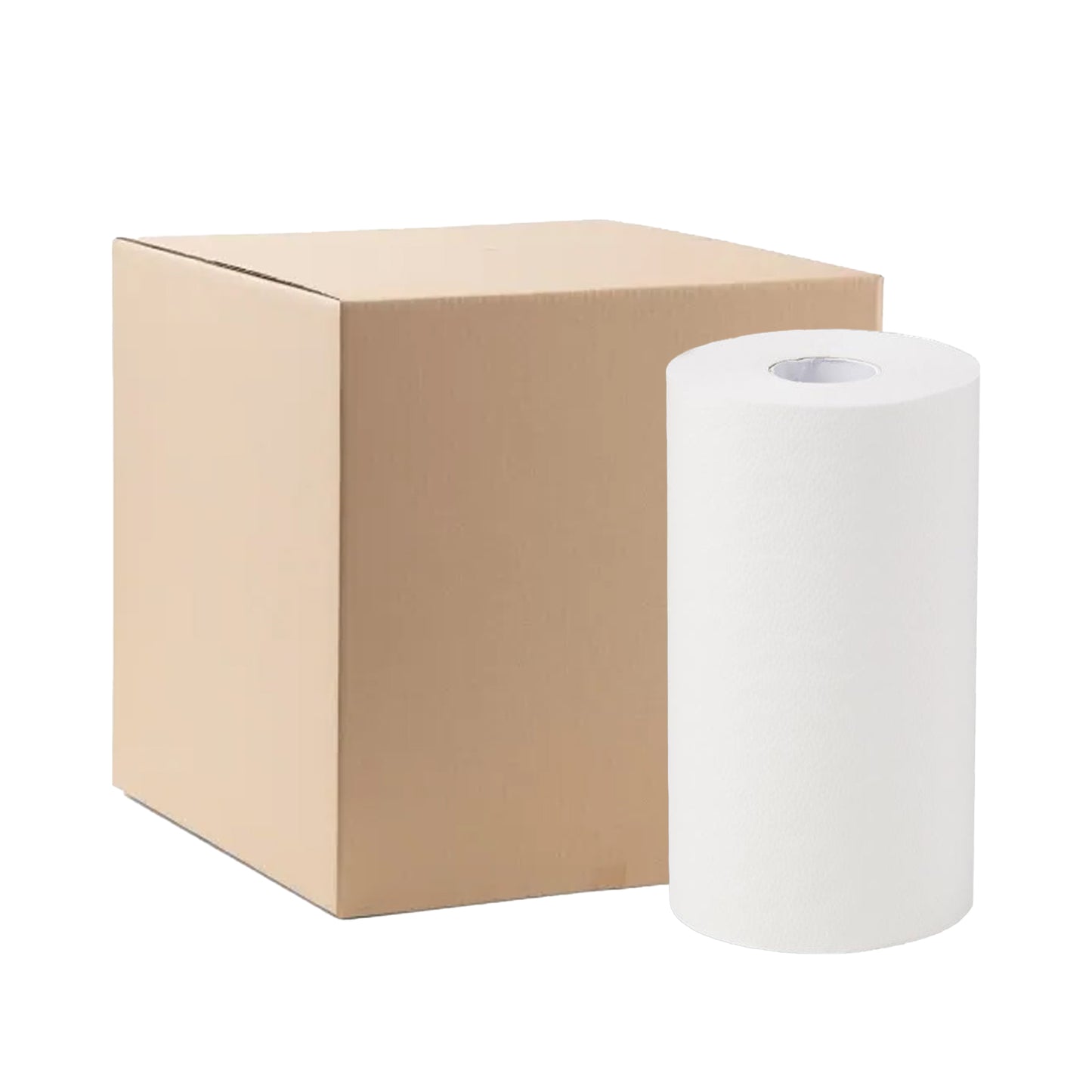 Paper Towel Roll 2Ply