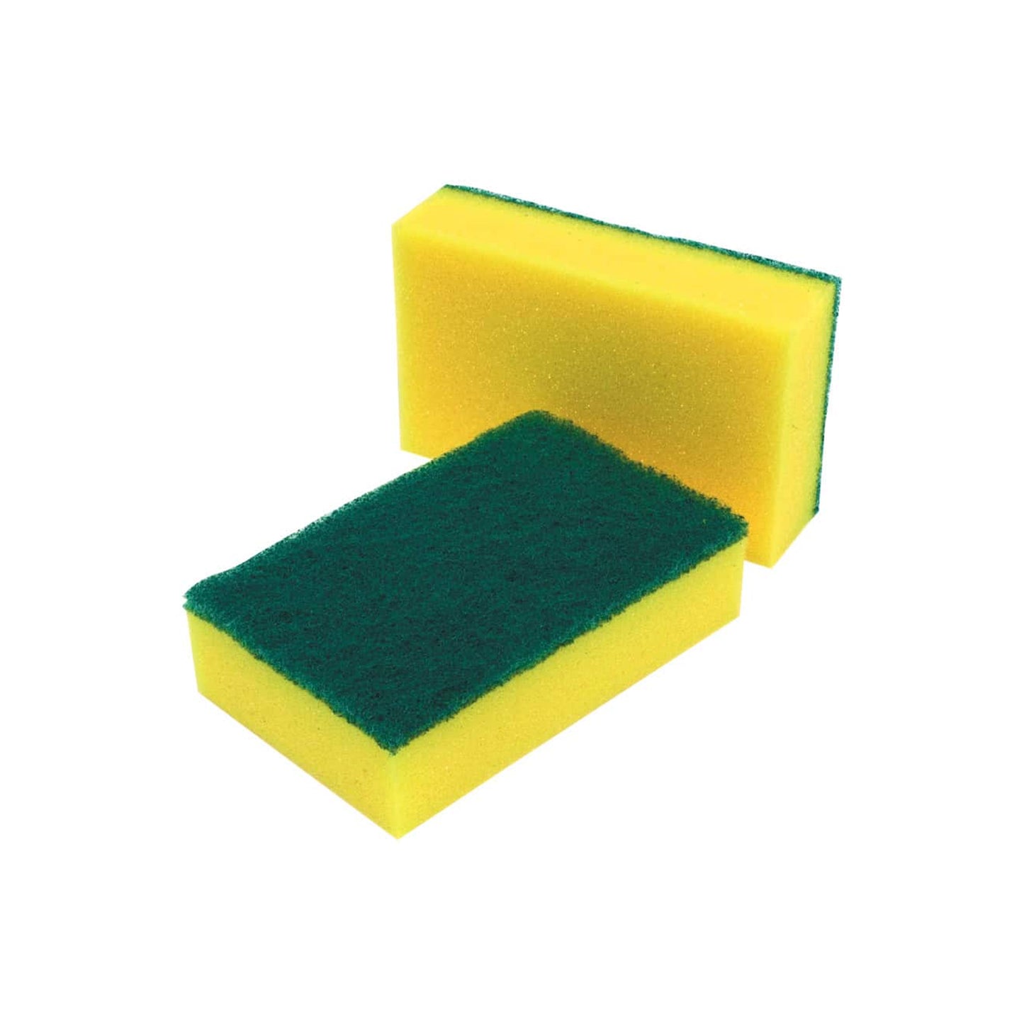 Scourer Sponge
