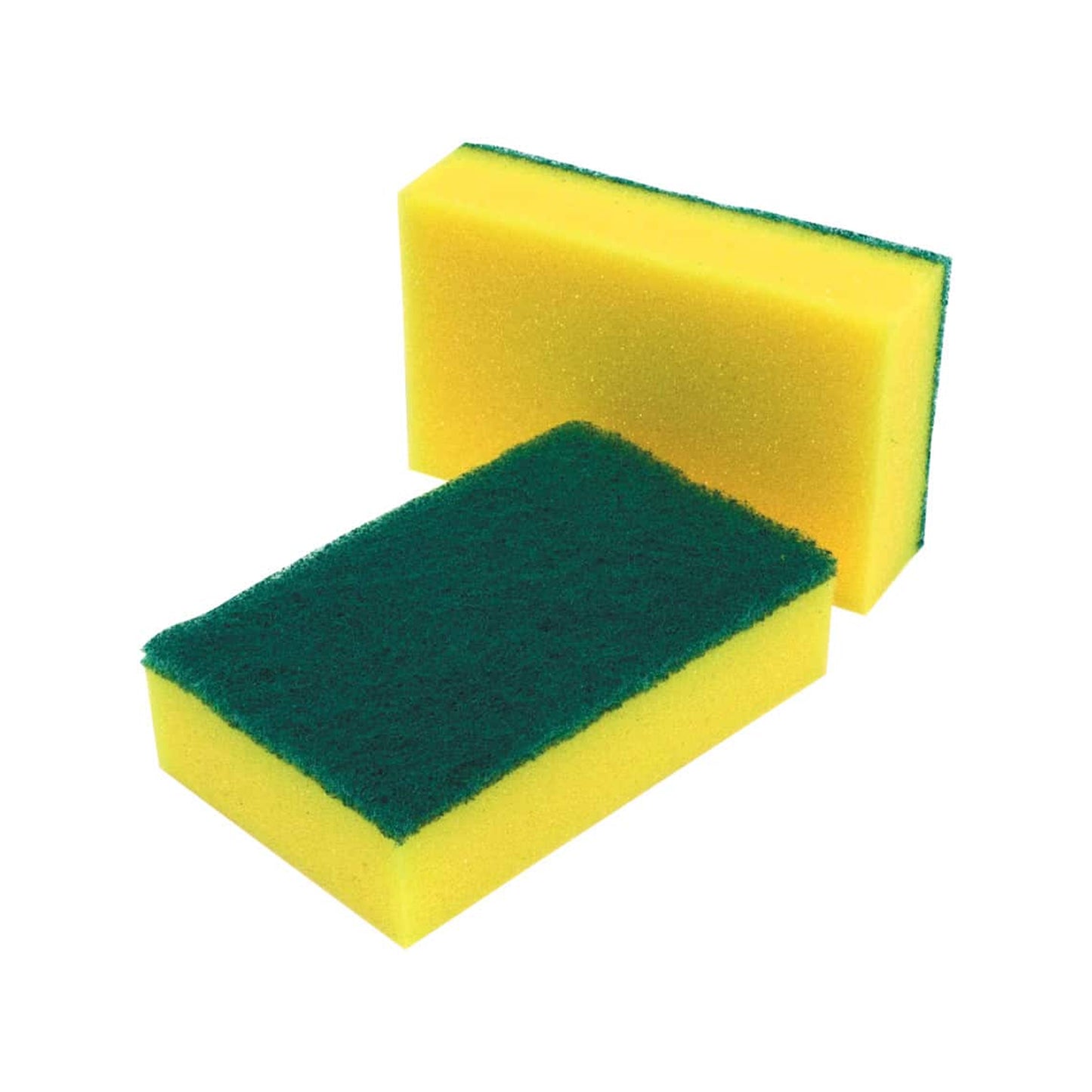 Scourer Sponge