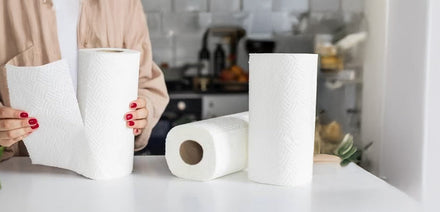 3 paper towel rolls on a table