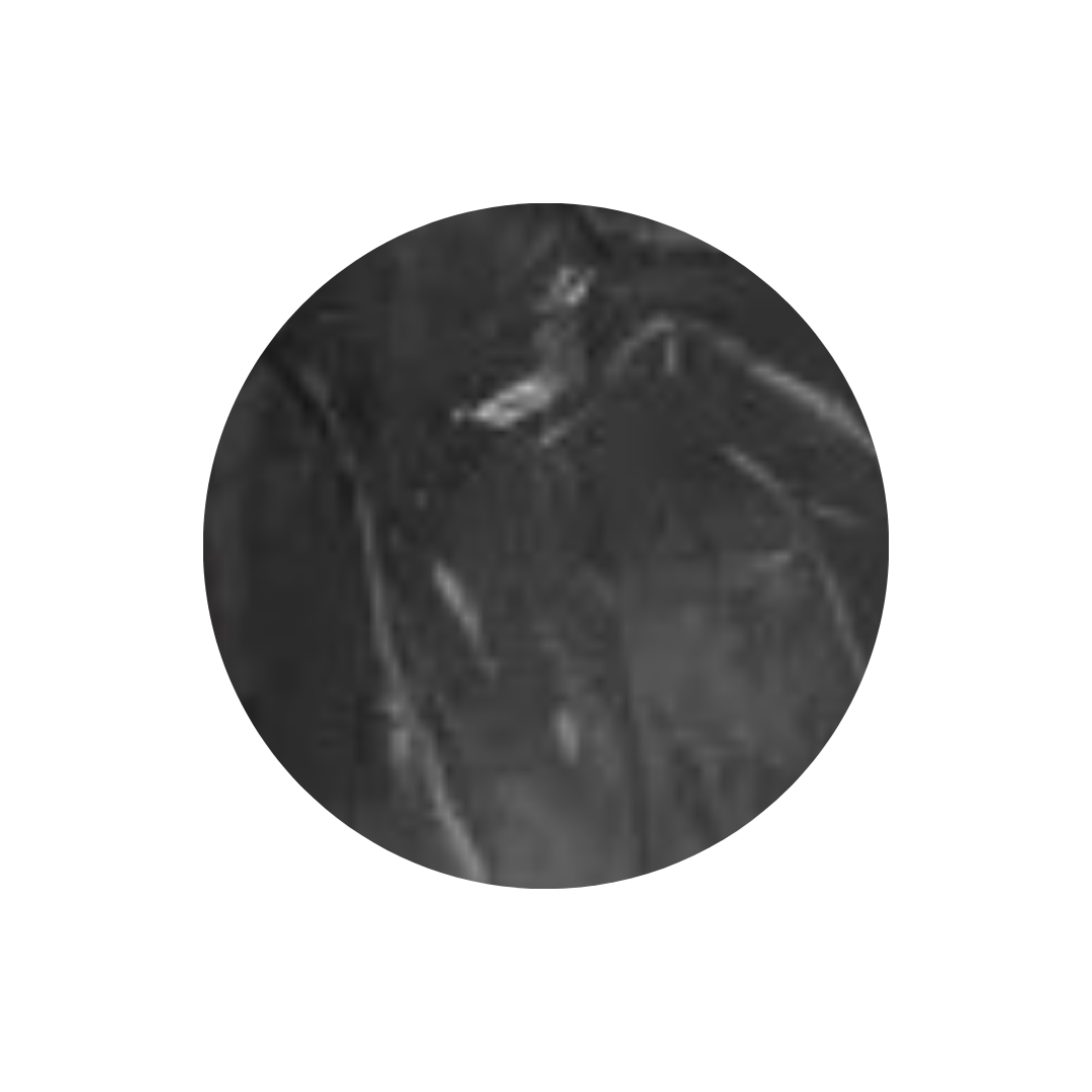Black Turkey Plain Colour Feathers - 1 Pack (10g)