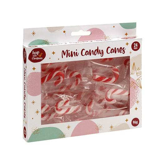 Candy Cane Mini 4g Xmas 24pk