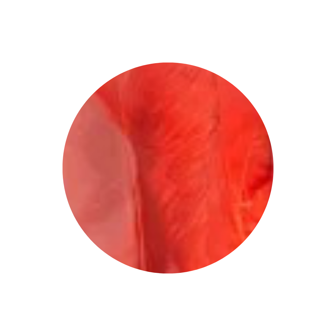 Red Turkey Plain Colour Feathers - 1 Pack (10g)
