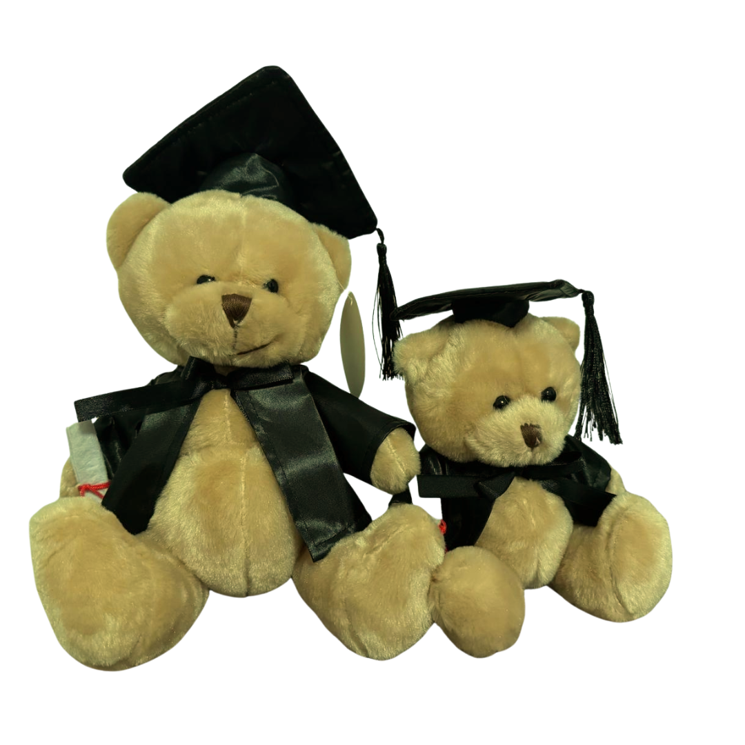 Graduation Teddy bear