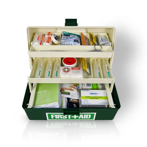 Medium Portable First Aid Kit