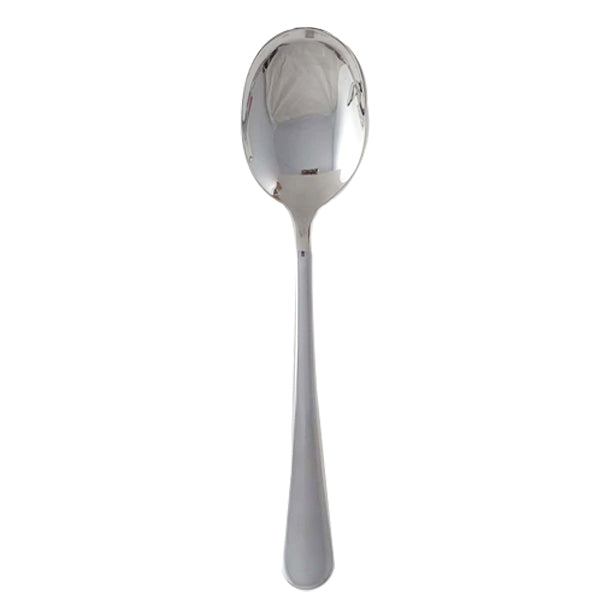 Stainless Steel Serving Spoon