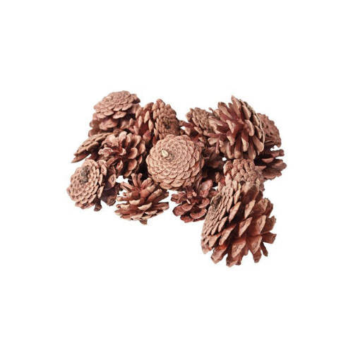 Pine Cones 200g