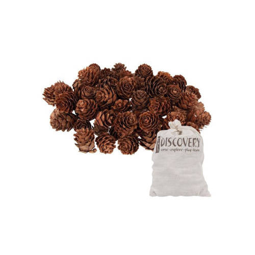 Pine Cones Mini 190g