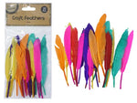 Feathers - 1 Pack ( 20pcs)