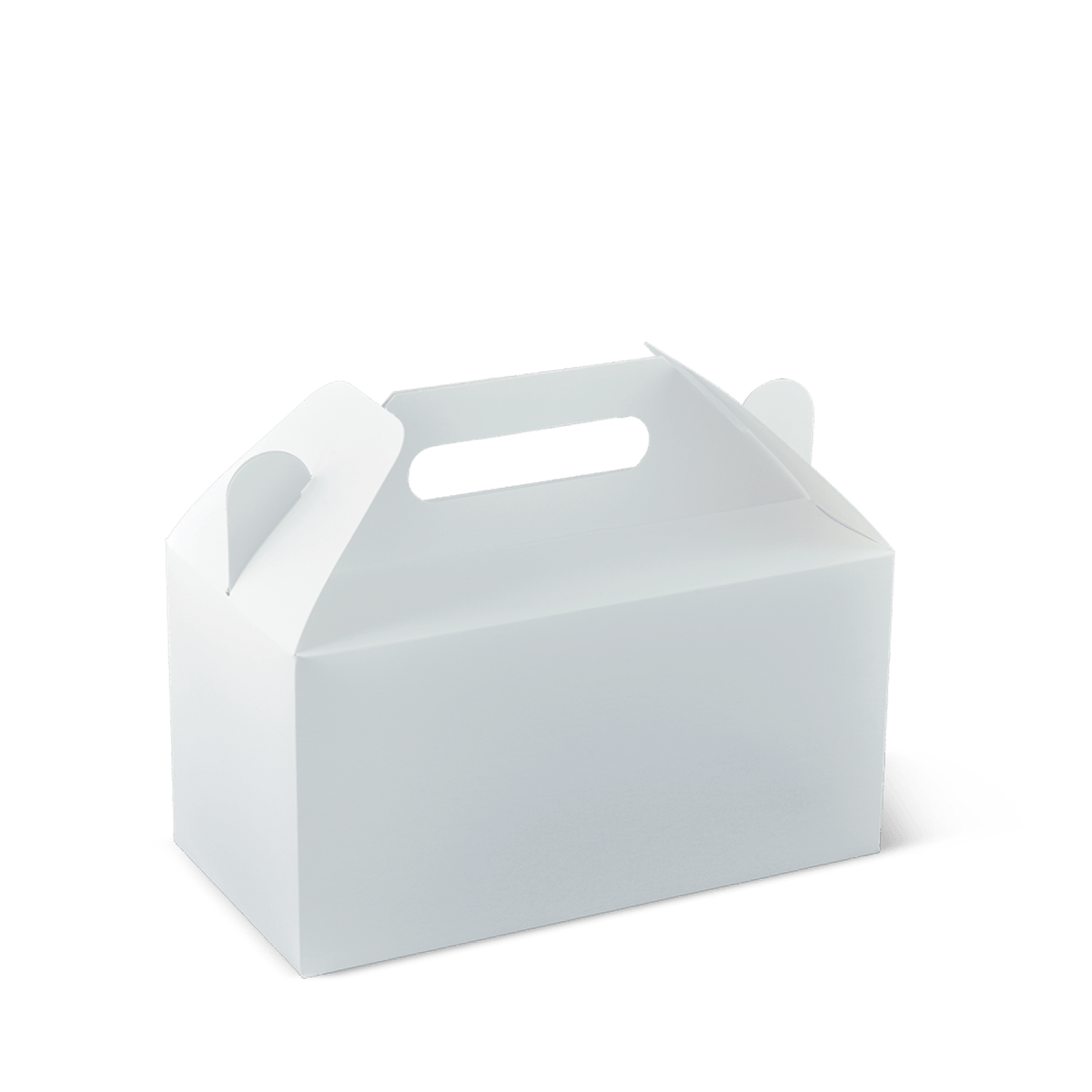 Medium Carry Pack