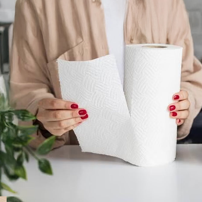 Person holding a white paper towel roll and a folded paper towel with a plant in the background