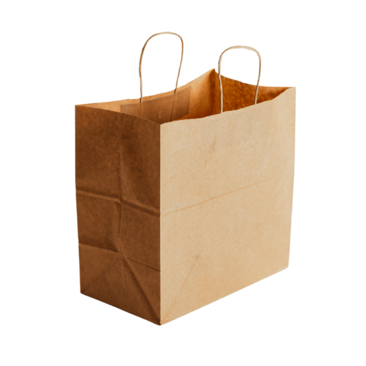 Paper Bag - Medium Twist Handle (CTN-250pcs)